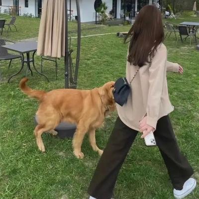 机器人们
