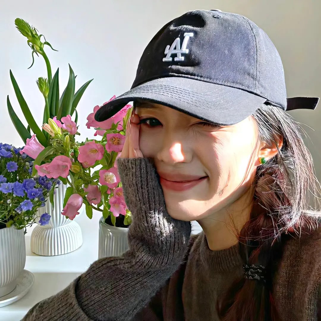 鲨与鲸